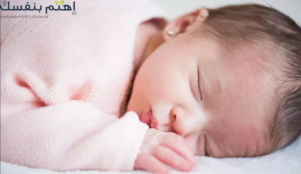 قائمة بأفضل الأغذية والمكملات الأساسية للنساء الحوامل 1 أغذية ومكملات أساسية للنساء الحوامل