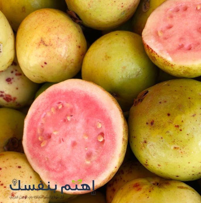 فاكهة الجوافة : تعرف على فوائدها الصحية المدهشة