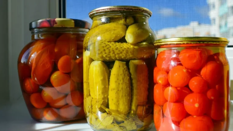 طرق حفظ الأطعمة : كيف نطيل من عمرها الإفتراضي 16 حفظ الأطعمة