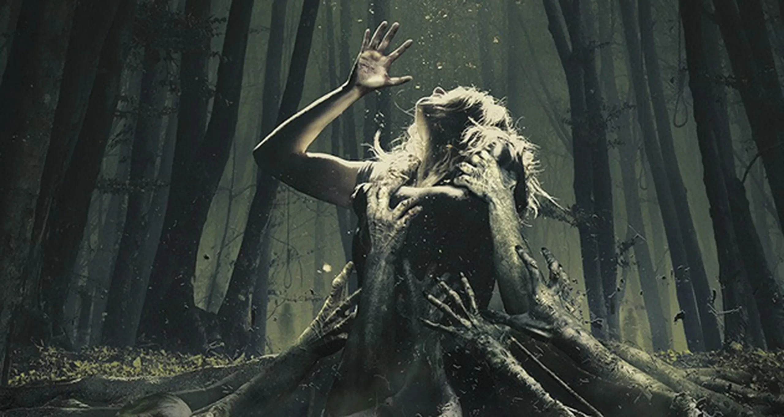 غابة الانتحار في اليابان : الداخل إليها مفقود والخارج منها مولود 1 غابة الانتحار في اليابان