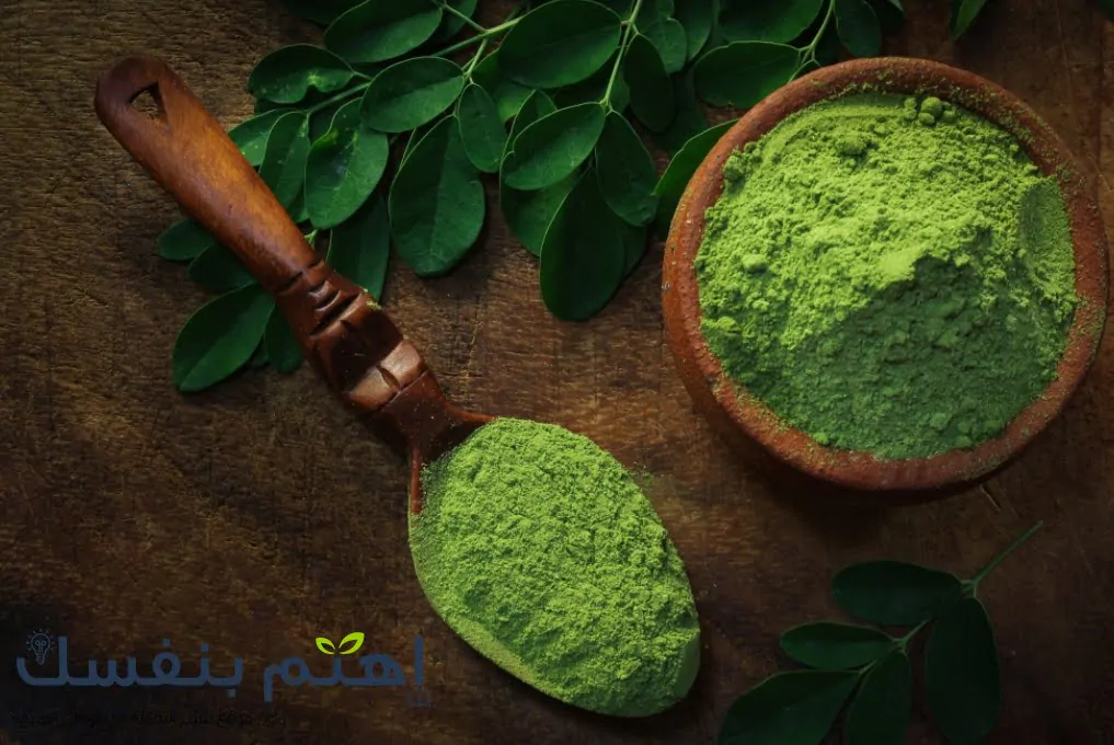 نبتة المورينجا : شجرة الحياة وفوائدها المذهلة 1 نبتة المورينجا