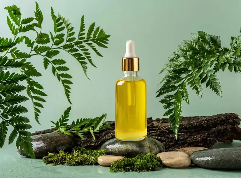 زيت المورينجا : 5 فوائد صحية لا توصف تعرف عليها 1 زيت المورينجا