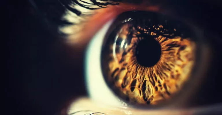 حقائق عن العين البشرية : كيف تعمل وماهي مكوناتها