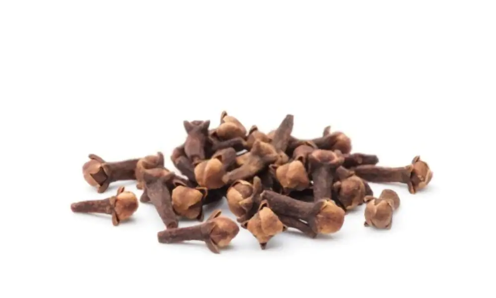 فوائد القرنفل الطبية المتعددة : 7 فوائد لم تكن تتخيلها 1 فوائد القرنفل
