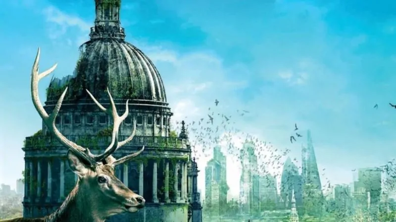 ماذا سيحدث لو انقرض البشر