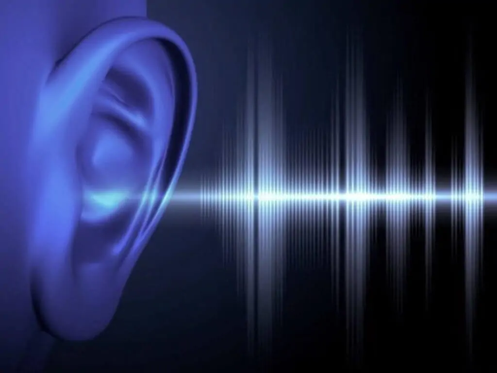 همهمة تاوس : ظاهرة خارقة لأصوات مجهولة المصدر حيرت العلماء 1 همهمة تاوس