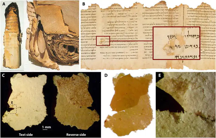 مخطوطات البحر الميت : كنز تاريخي  لا يقدر بثمن