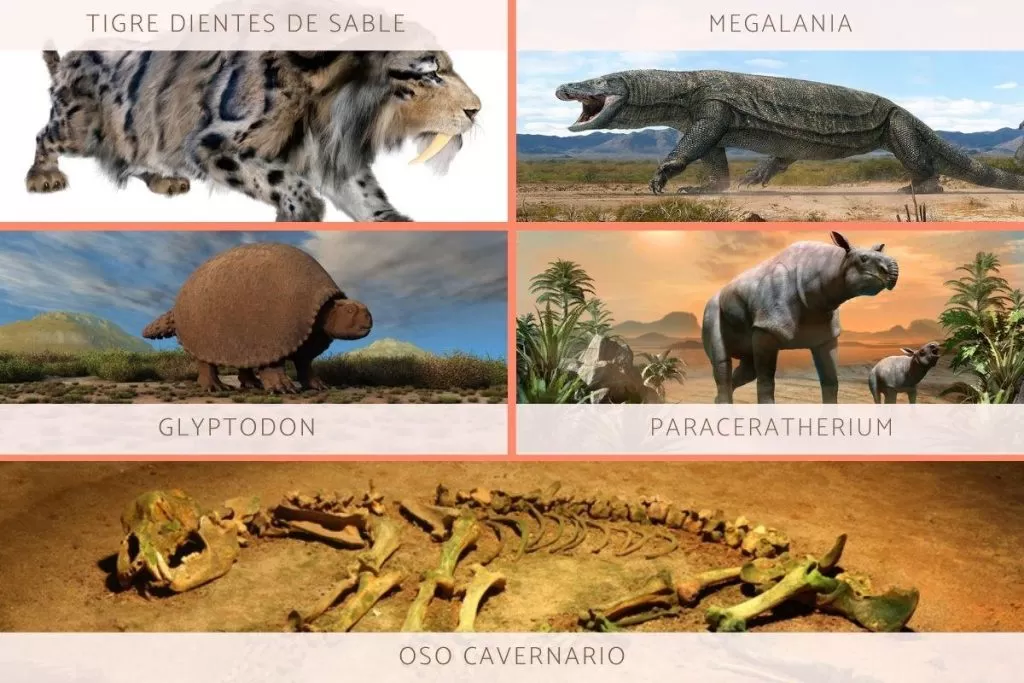 حيوانات ما قبل التاريخ