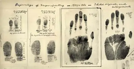 تاريخ اكتشاف بصمات الأصابع وكيف ساهمت في إزدهار علم الجريمة