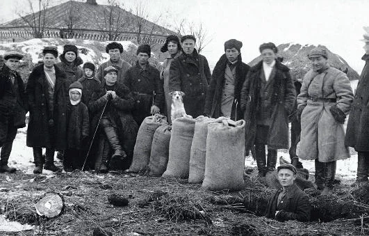 مصادرة ستالين للحبوب خلال مجاعة هولودومور
