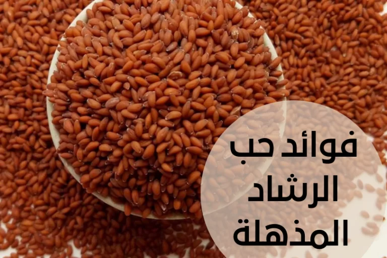 حب الرشاد لزيادة الوزن : نصائح ووصفات لزيادة وزنك بطرق صحية