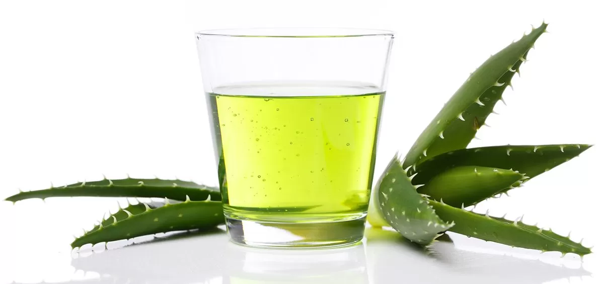 فوائد عصير الصبار : فوائد غذائية وعلاجية لا تحصى 1 عصير الصبار