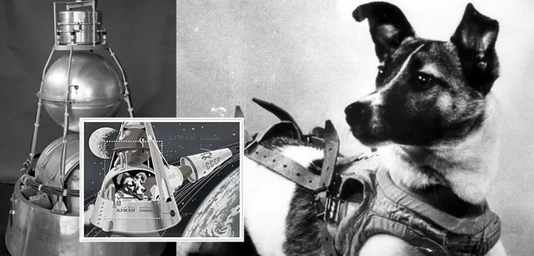 قصة الكلبة لايكا : أول كائن حي يسافر إلى الفضاء الخارجي