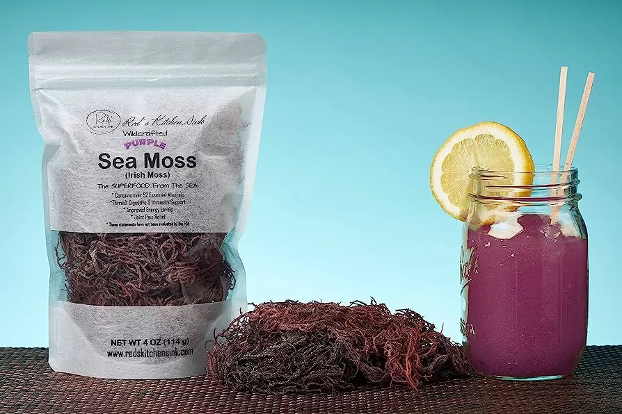 الطحلب الأيرلندي Irish Moss : كنز غذائي لا يقدر بثمن تعرف على فوائده 1 الطحلب الأيرلندي Irish Moss
