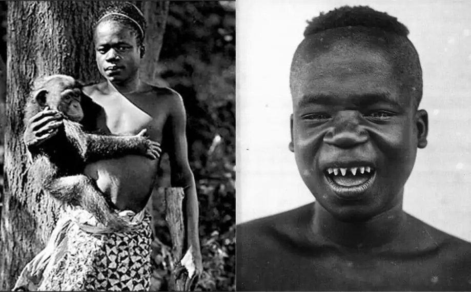 قصة أوتا بينغا : مأساة شاب عرض في حديقة للحيوانات وكأنه قرد 1 قصة أوتا بينغا