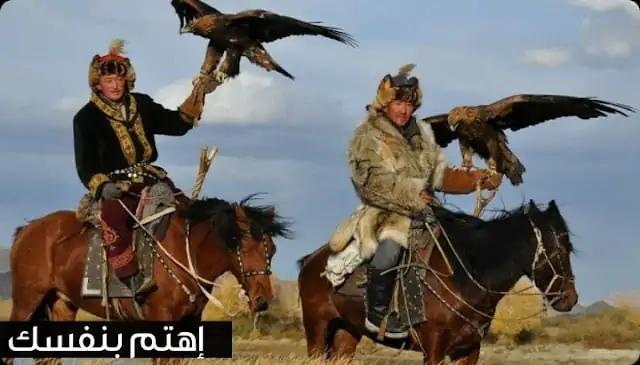 تربية النسور والصقور في منغوليا