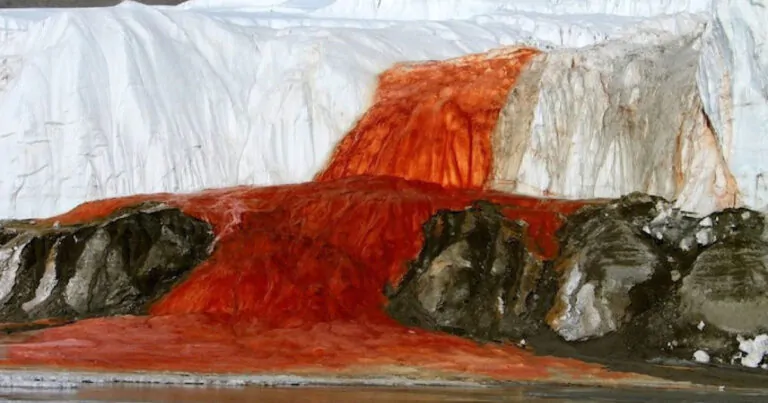 شلالات الدم في أنتاركتيكا